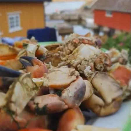 Lunvig - A Cosy In Idyllic Small Island Near Kristiansand, Sogne * Kristiansand