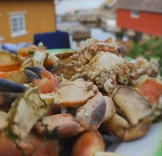 Lunvig - A Cosy In Idyllic Small Island Near Kristiansand, Sogne * Kristiansand